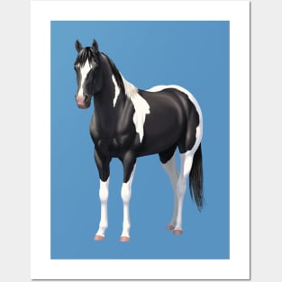 Beautiful Black Pinto Quarter Horse Paint Stallion Posters and Art